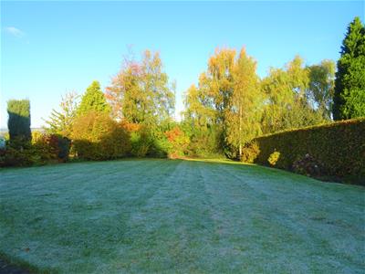 Picture 19